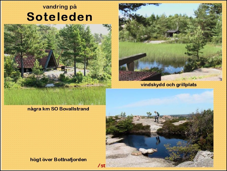 Soteleden