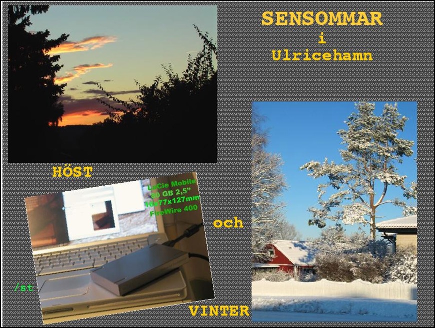 Ulricehamnsvinter